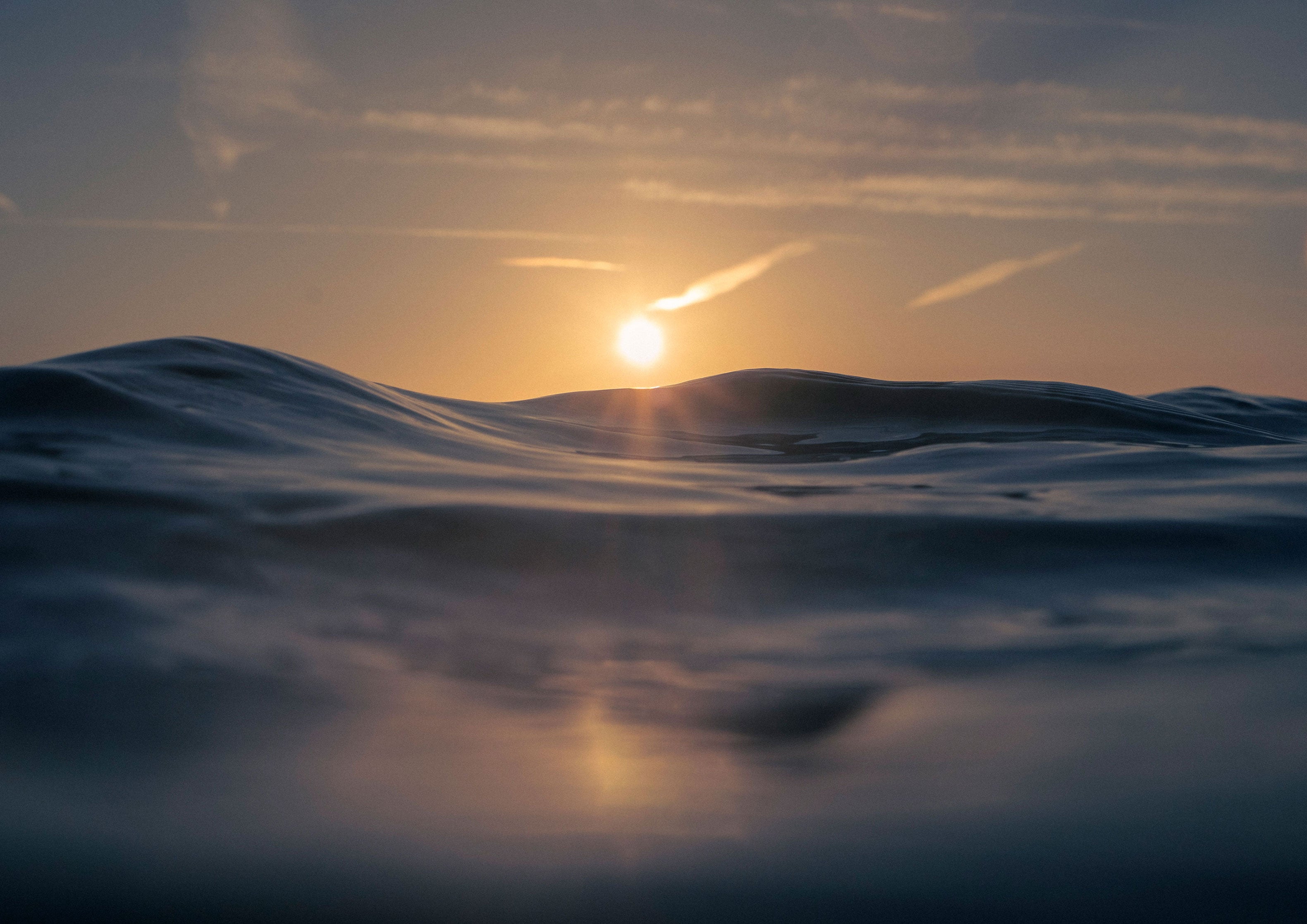 Ocean Dunes